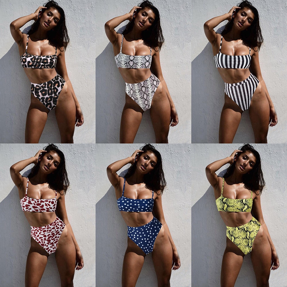 Women's Purveyor Luxe Elite  Sexy Bikini Collection Multi Colored Options Size S-Xl