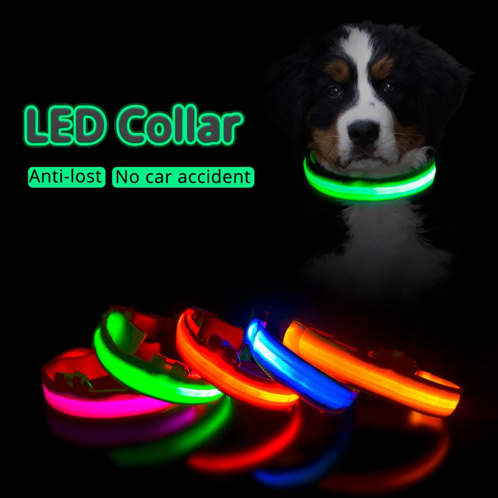 LED Dog Collar Anti-Lost/ Avoid Car Accident