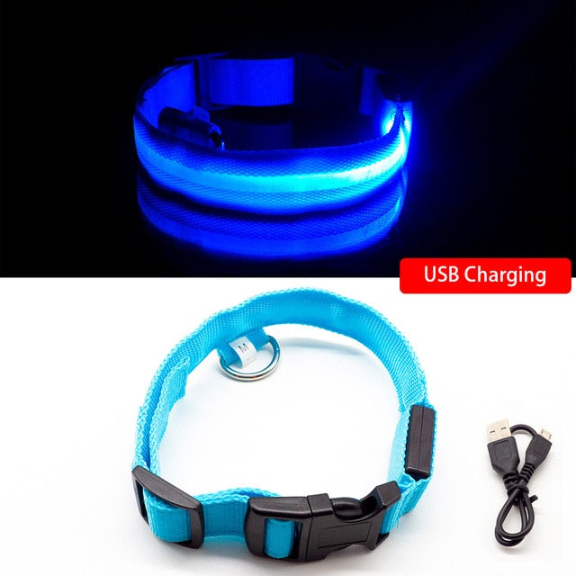 LED Dog Collar Anti-Lost/ Avoid Car Accident