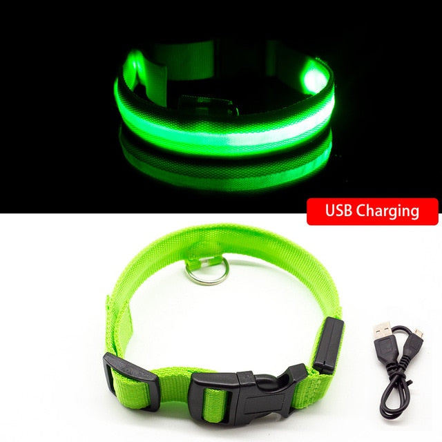 LED Dog Collar Anti-Lost/ Avoid Car Accident