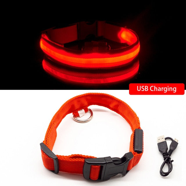 LED Dog Collar Anti-Lost/ Avoid Car Accident