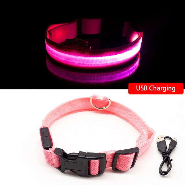 LED Dog Collar Anti-Lost/ Avoid Car Accident