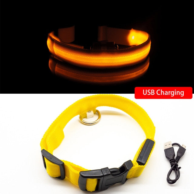 LED Dog Collar Anti-Lost/ Avoid Car Accident