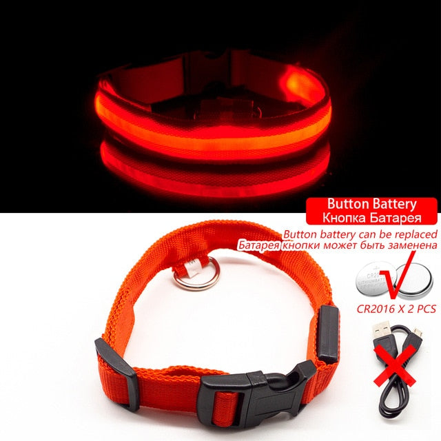 LED Dog Collar Anti-Lost/ Avoid Car Accident