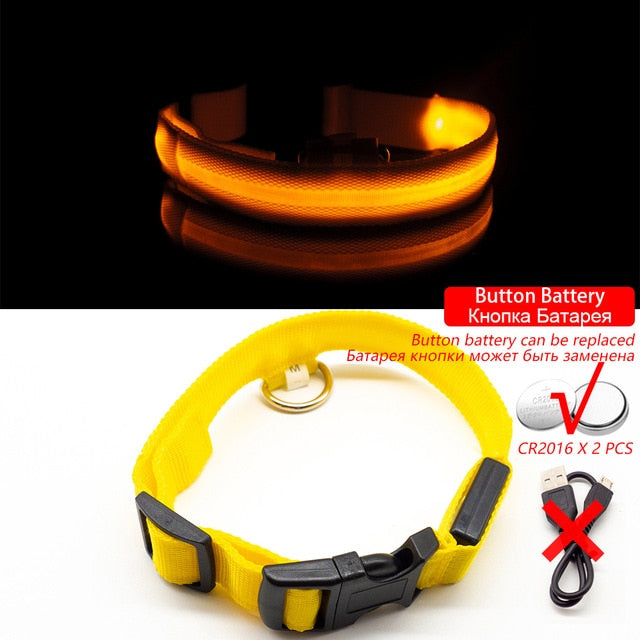 LED Dog Collar Anti-Lost/ Avoid Car Accident